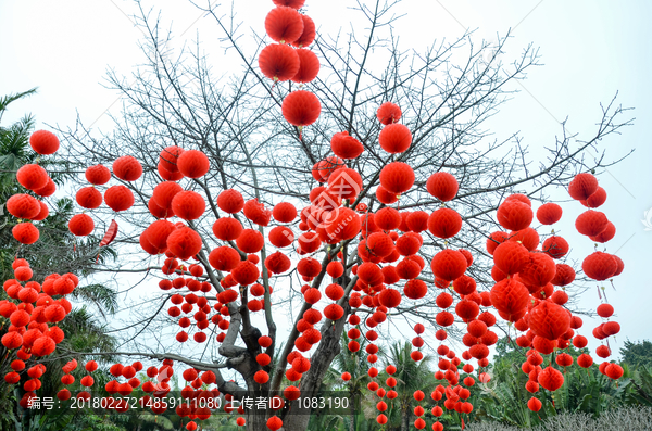 大红灯笼高高挂