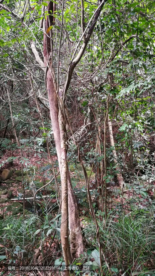 钦州八寨沟风光