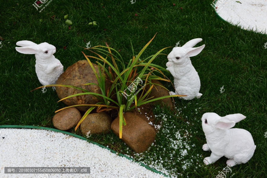 草地,兔子