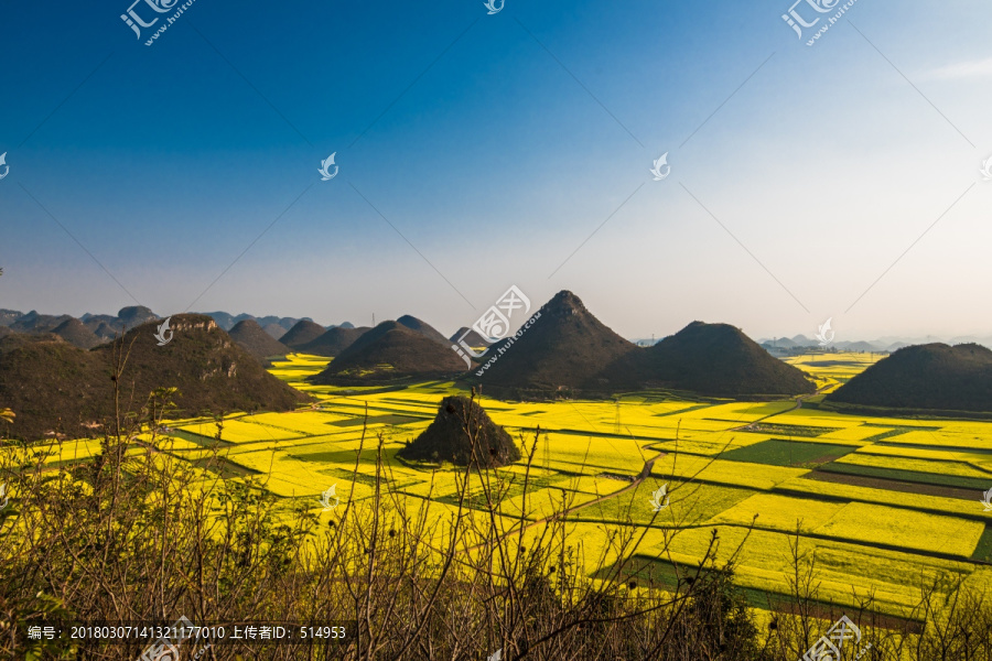 花季