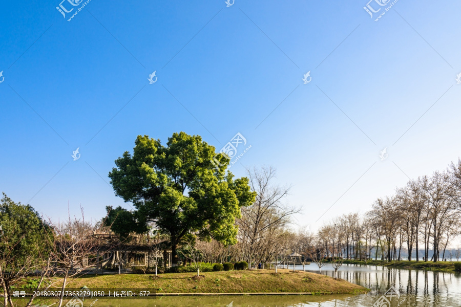 初春的南京情侣园公园园景