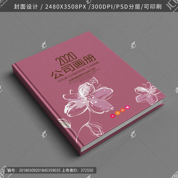 公司企業(yè)畫冊書籍標(biāo)書封面