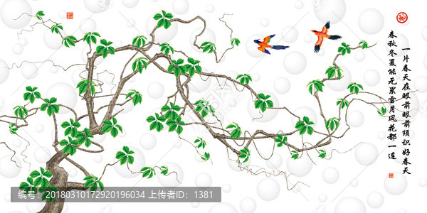 植物藤壁紙