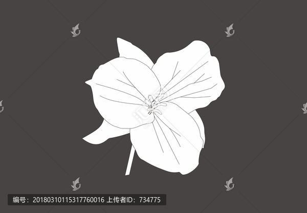 矢量花卉,矢量花,線條花