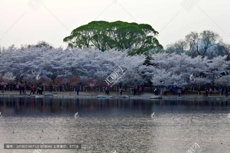 北京玉渊潭