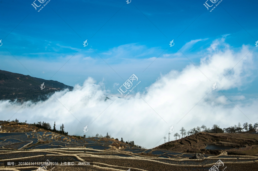 元阳梯田,大地调色板,云海