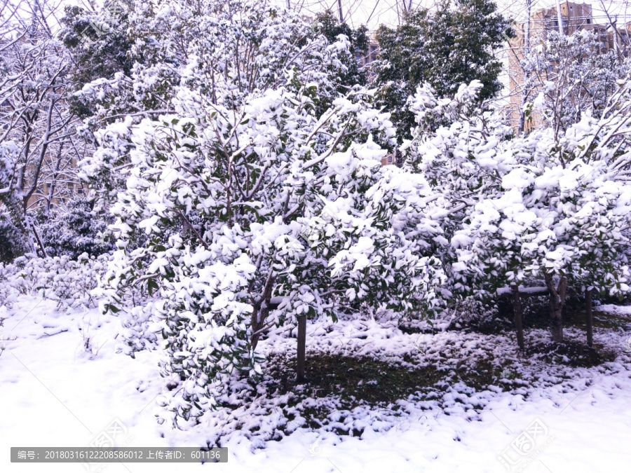 都市花园雪景