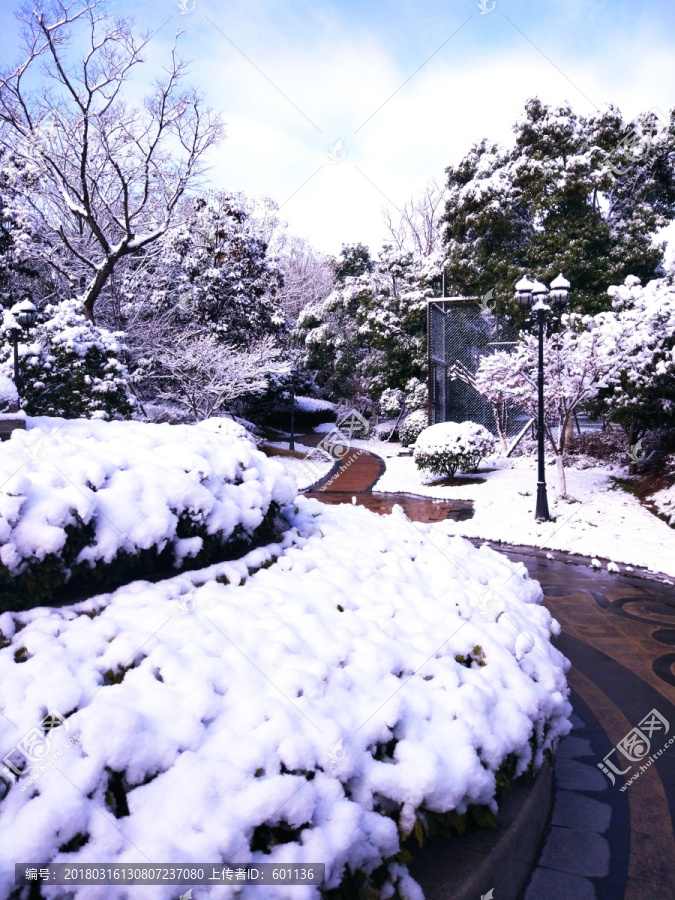 都市花园雪景