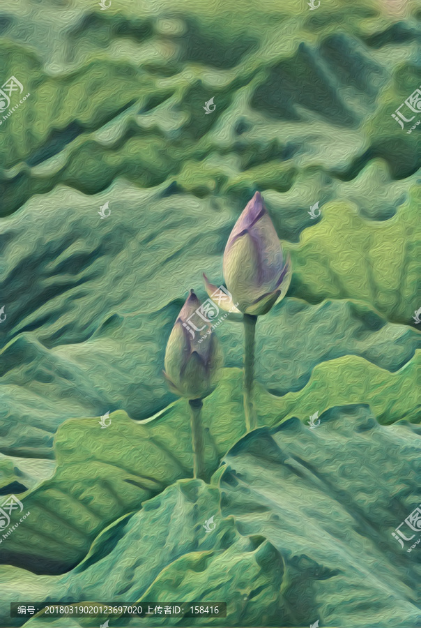 抽象工笔手绘水墨荷花