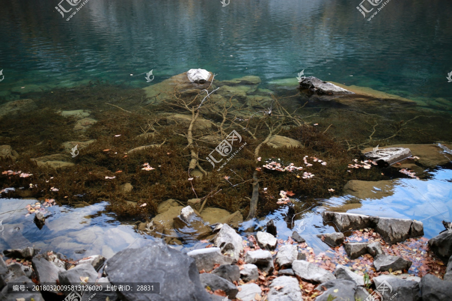 松坪沟的水