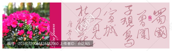 杜鵑