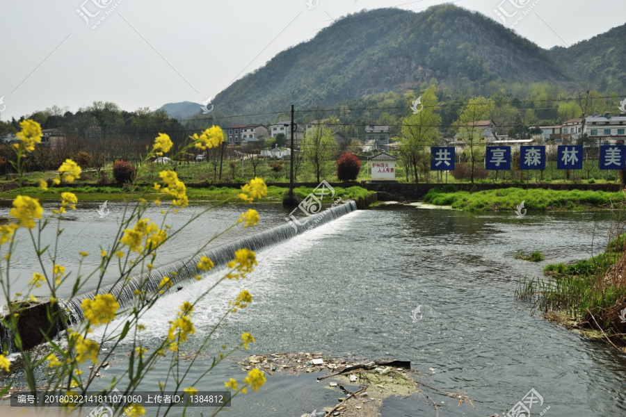 湿地,湿地公园