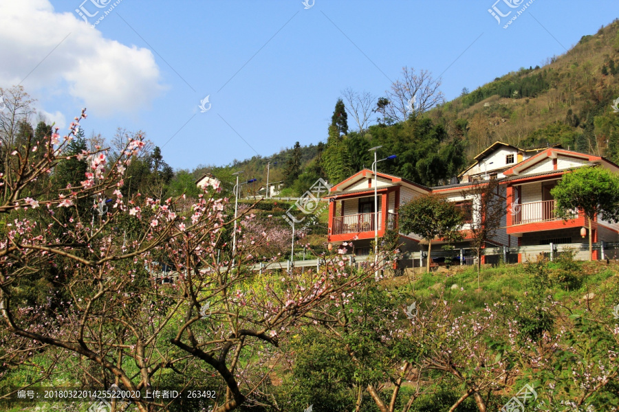 桃花新村