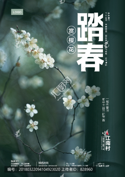 踏春櫻花