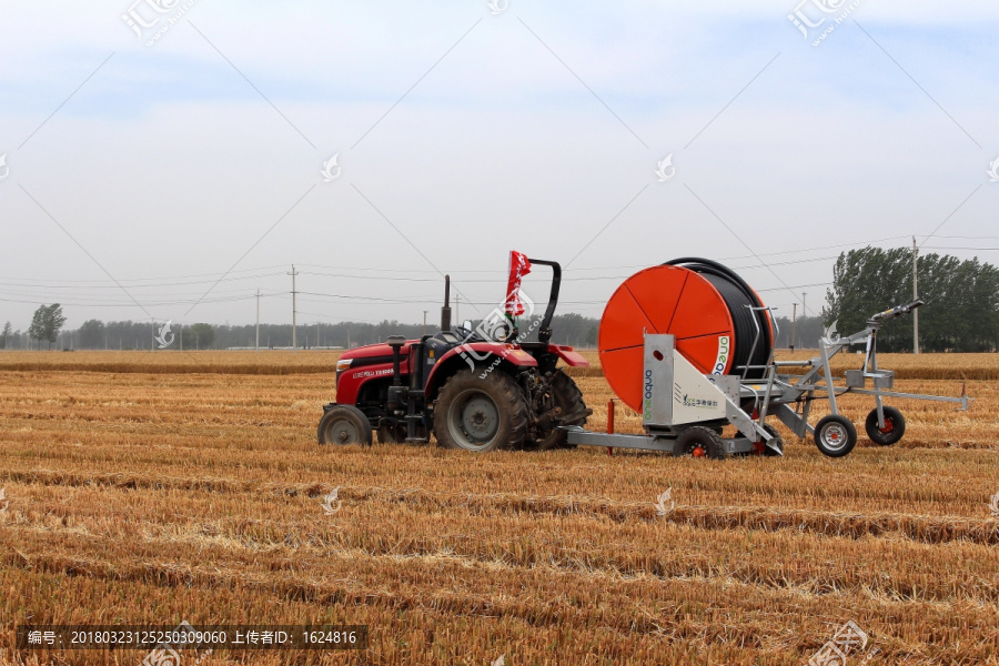 农业机械化,小麦收割,麦田