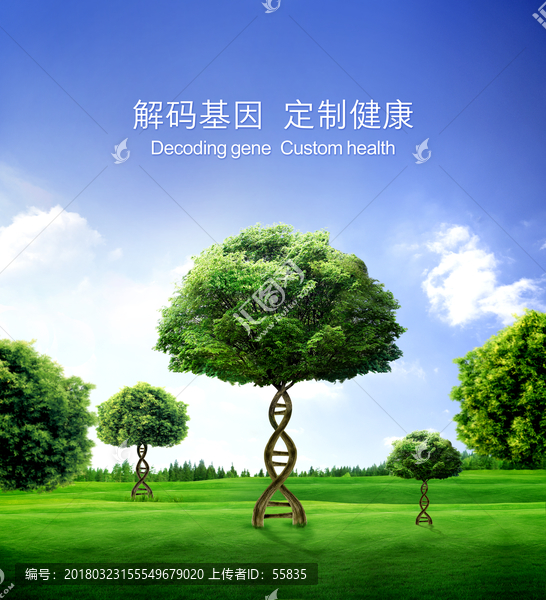 基因樹