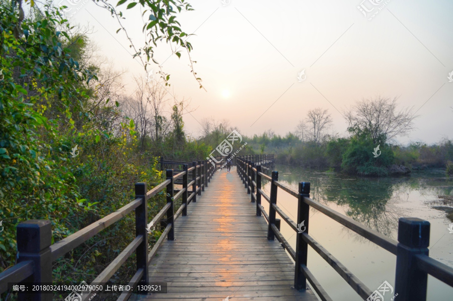 桂林会仙湿地栈道日落