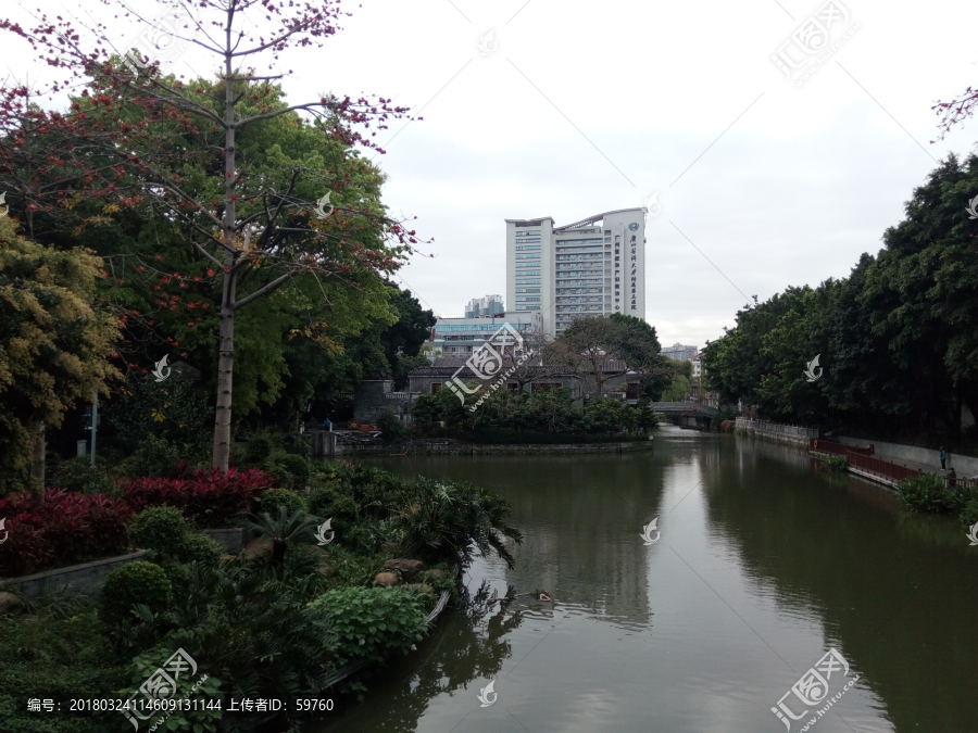 广州荔湾湖风景