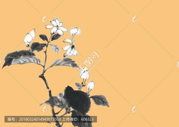 茉莉花,插畫,矢量