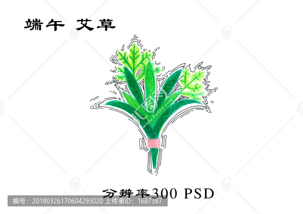 端午艾草
