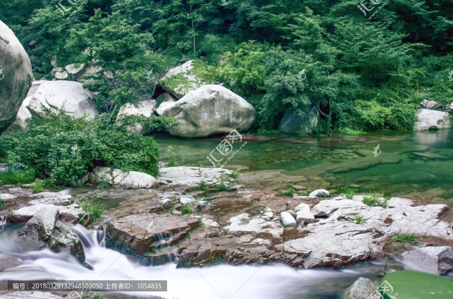 崂山仙境,绿色背景,绿树林