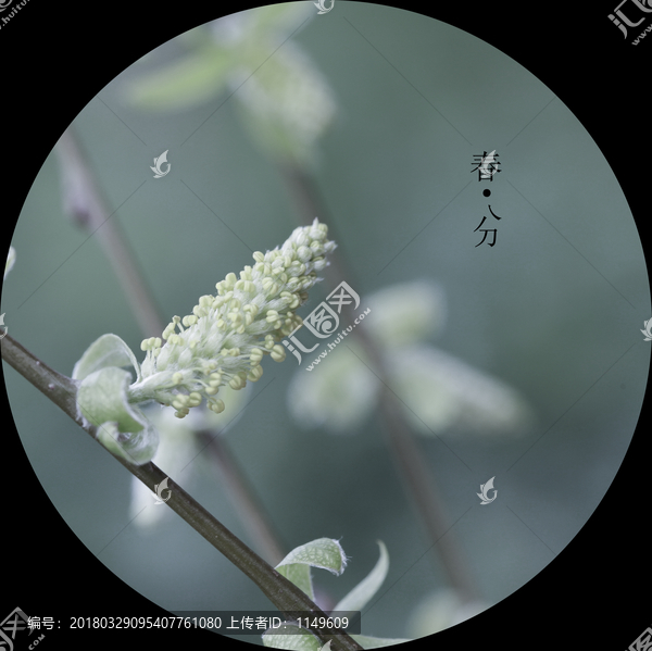 二十四節(jié)氣裝飾畫(huà)