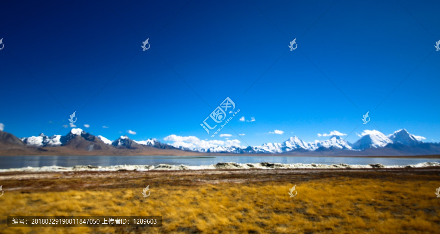 雪山下的湿地