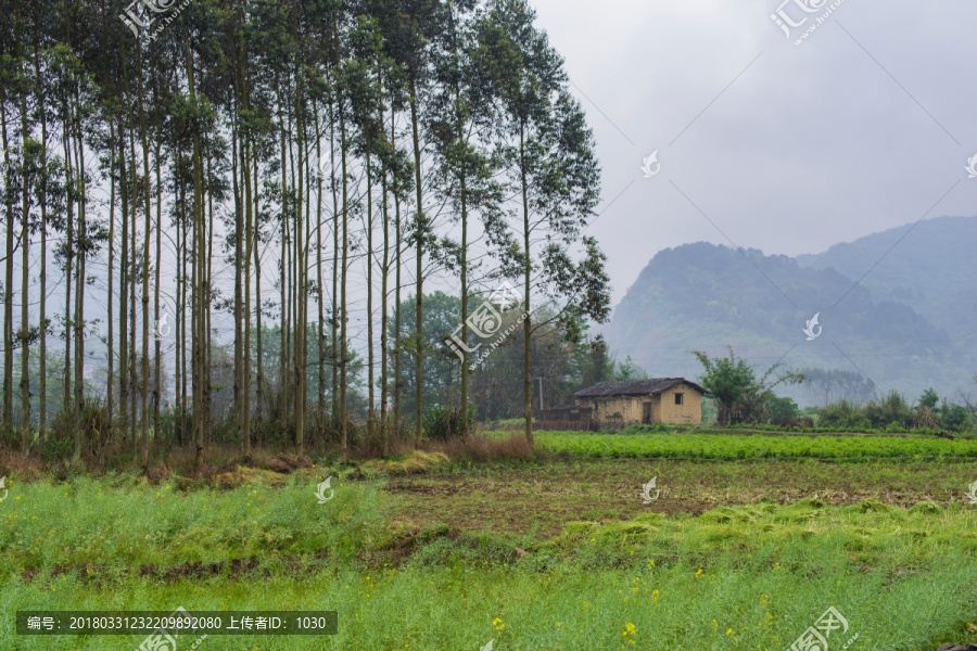 春色,风景