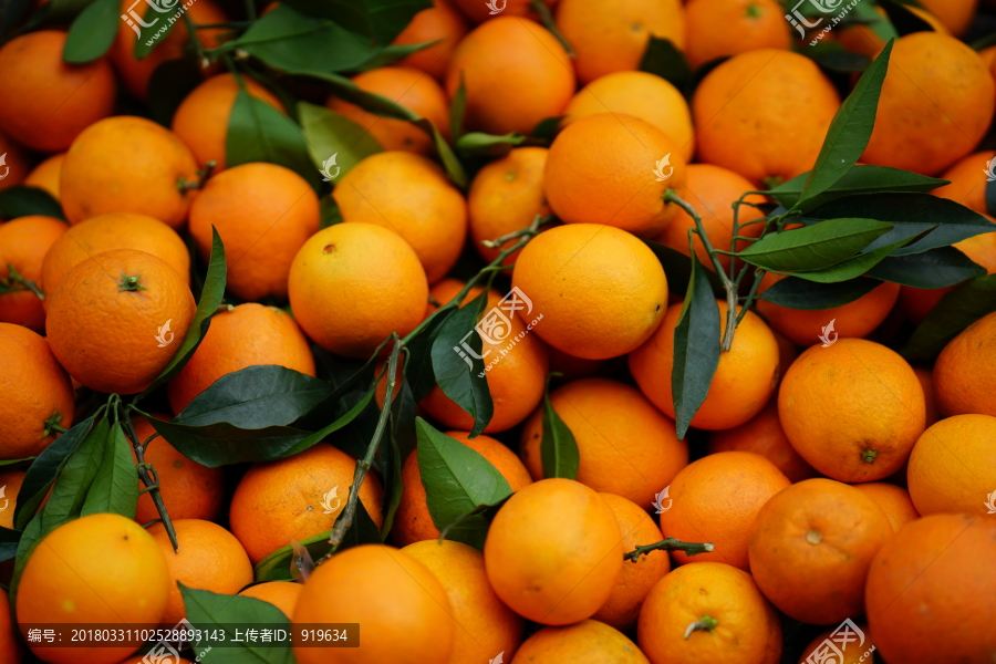橘子柑橘