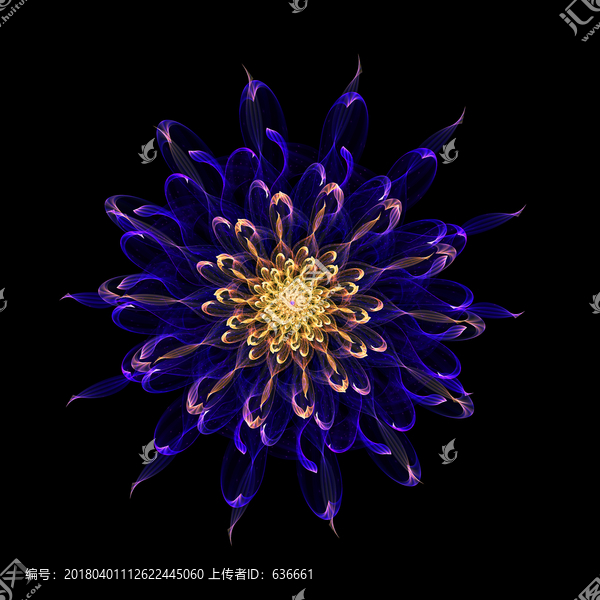 絢麗花紋