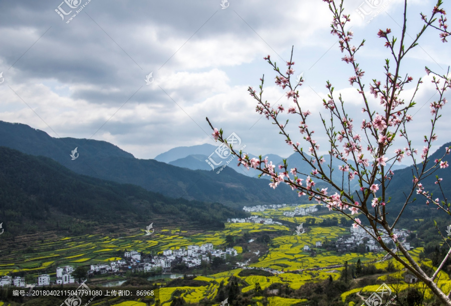 婺源江岭