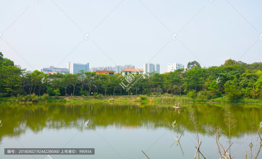 湖畔,湖泊,植物园