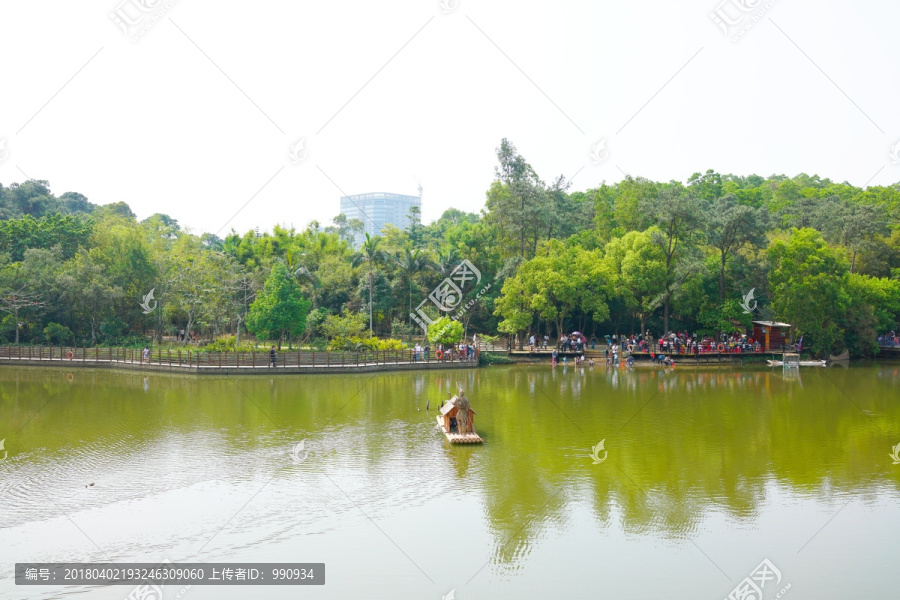 湖畔,湖泊,植物园