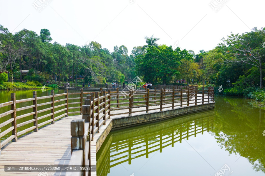 水上栈道,栈道,植物园