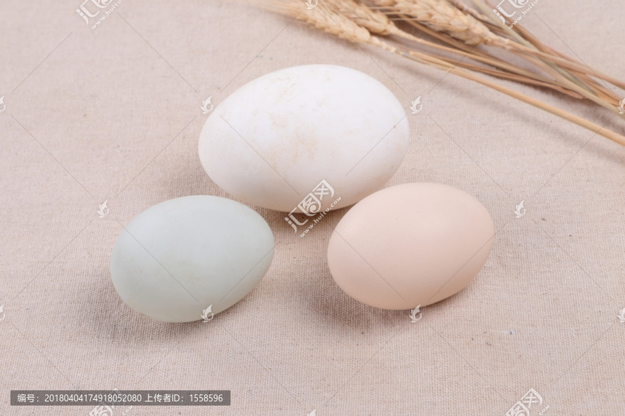 鸡蛋,鸭蛋,鹅蛋