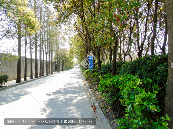 乡村道路高清图片摄影