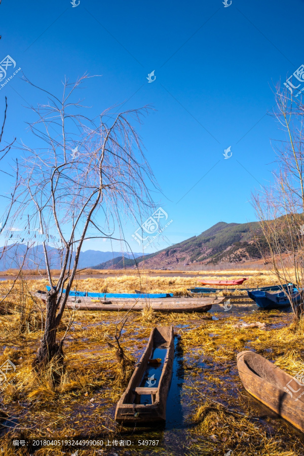 泸沽湖湿地