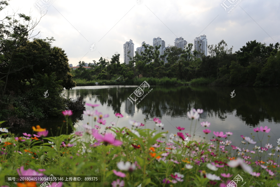 高楼花丛湖泊