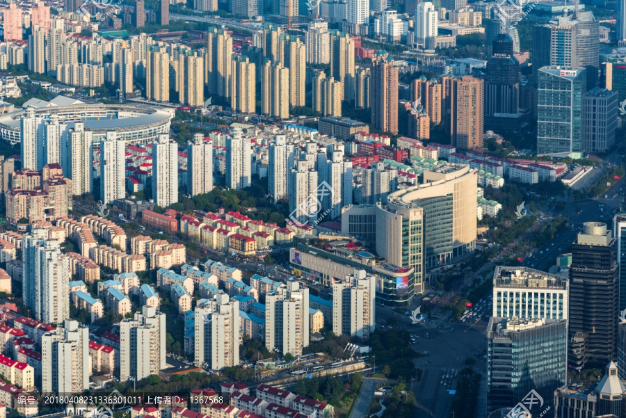 上海浦东,建筑,鸟览图片