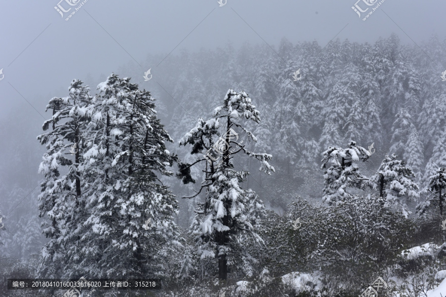 海螺沟,贡嘎山,雪景,冰雪