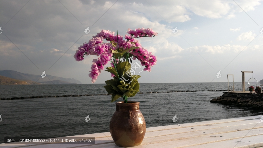 插花,花瓶,静物,鲜花,洱海
