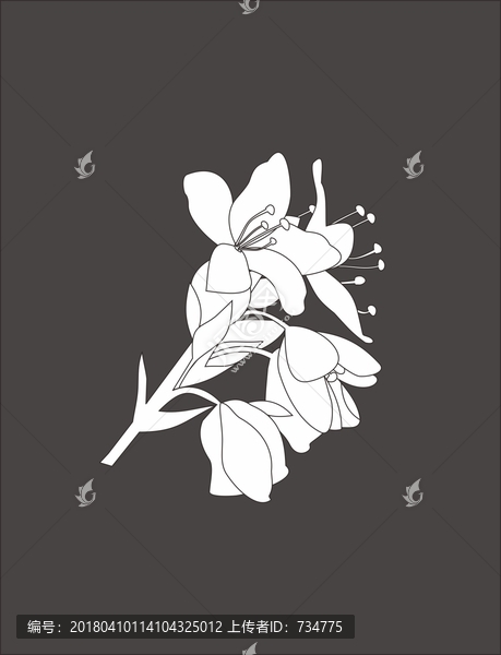 矢量花卉,矢量花,線條花