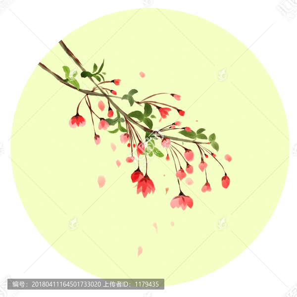 垂絲海棠