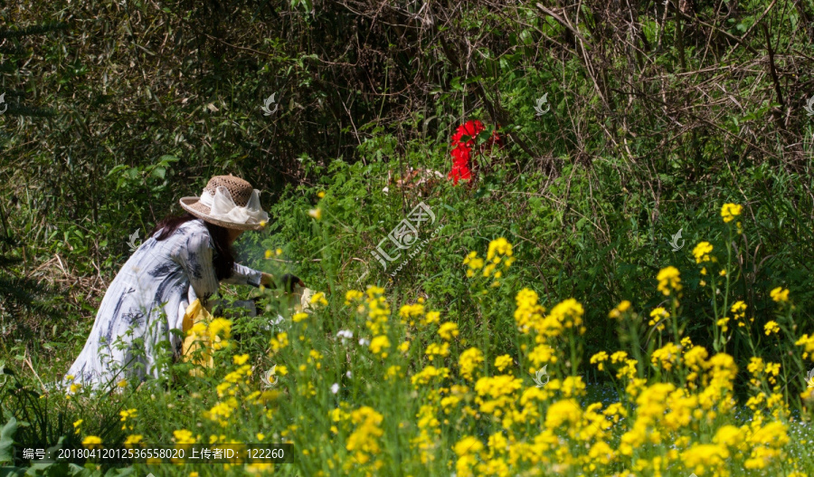 清明节,扫墓