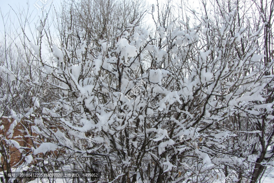 阳春白雪