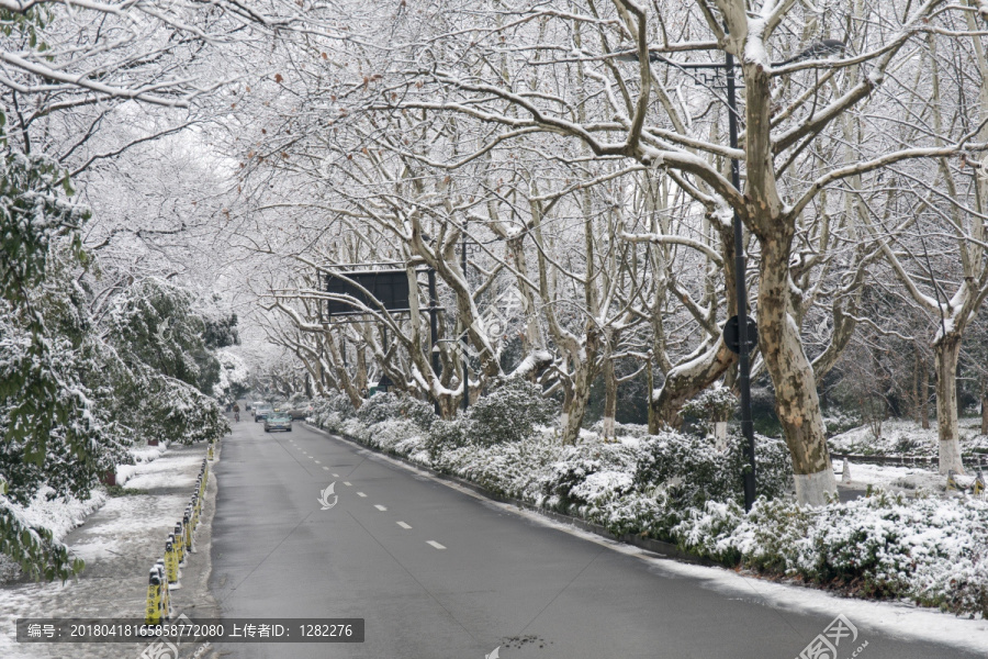 杭州雪景