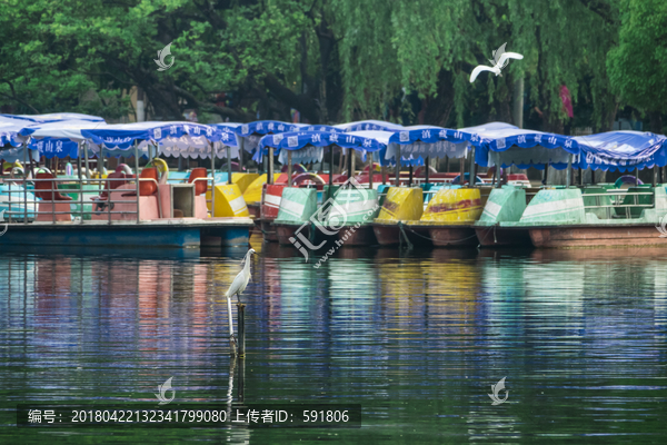 昆明翠湖小景