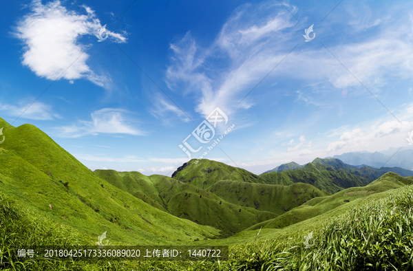 高山草甸高山草原