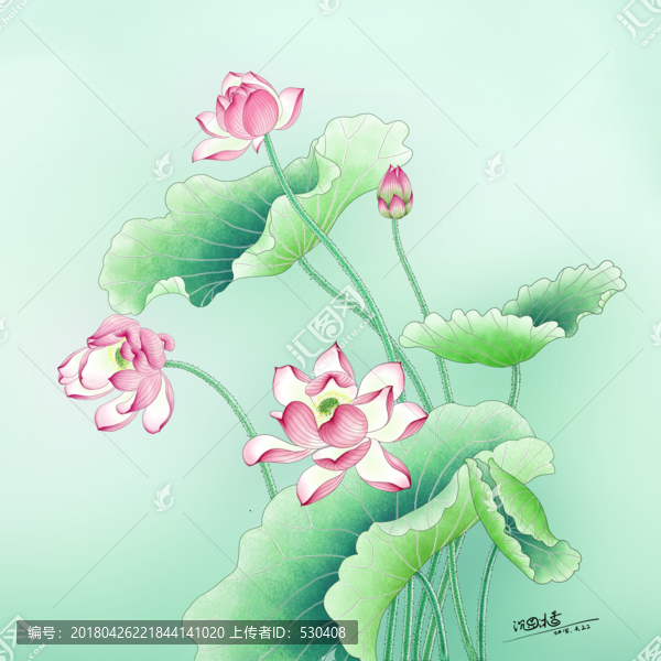 清蓮