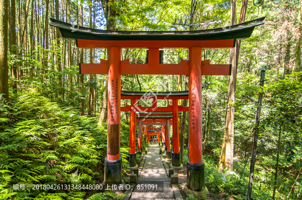 日本伏见稻荷神社的红色木制大门